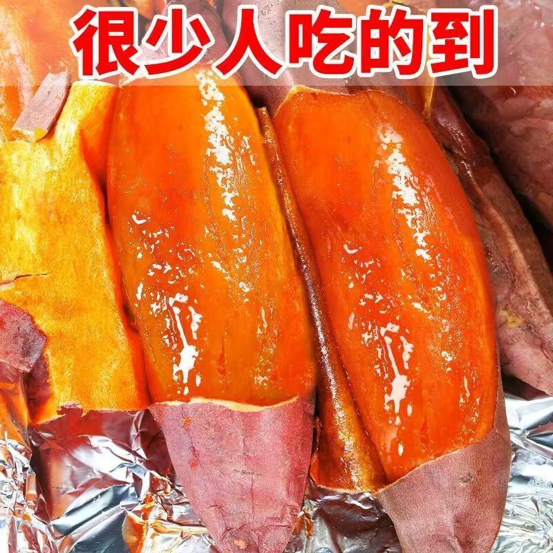 烟薯25山东正宗烟薯25产地直发品质保障对接全国