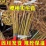 樱桃树实生苗砧木，包技术包活保品种，死苗包赔现挖现发基地