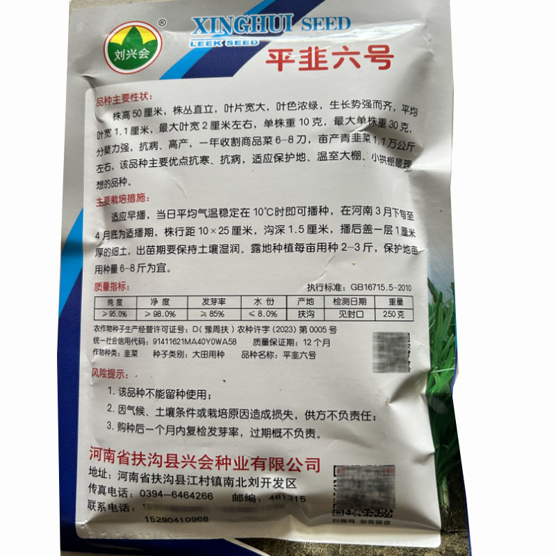 大叶韭菜种子平韭六号宽叶韭菜种籽抗寒高寒香味浓郁