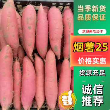 烟薯红薯河北烟薯25基地直供市场批发电商超市烤薯店欢迎联系