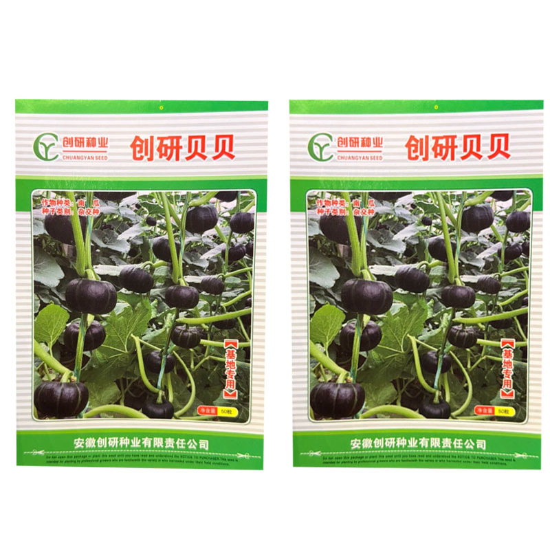 创研贝贝南瓜种子早熟迷你贝贝南瓜种籽肉厚腔小味甜基地种植