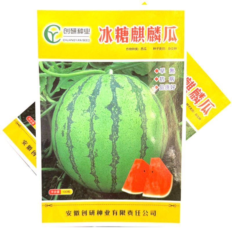 冰糖麒麟西瓜种子早熟抗病圆果型红瓤黑籽质脆味甜基地种植