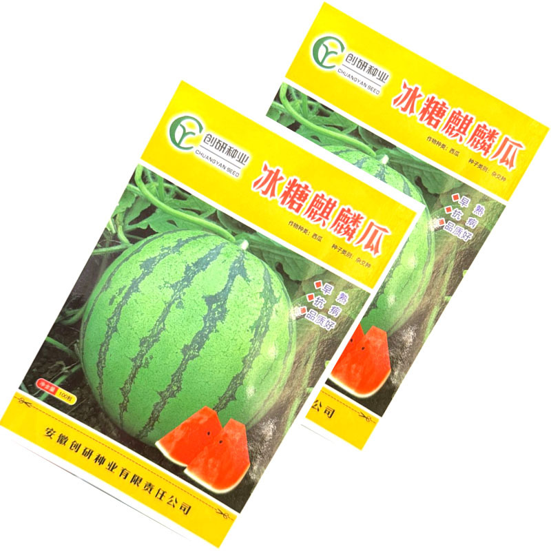 冰糖麒麟西瓜种子早熟抗病圆果型红瓤黑籽质脆味甜基地种植