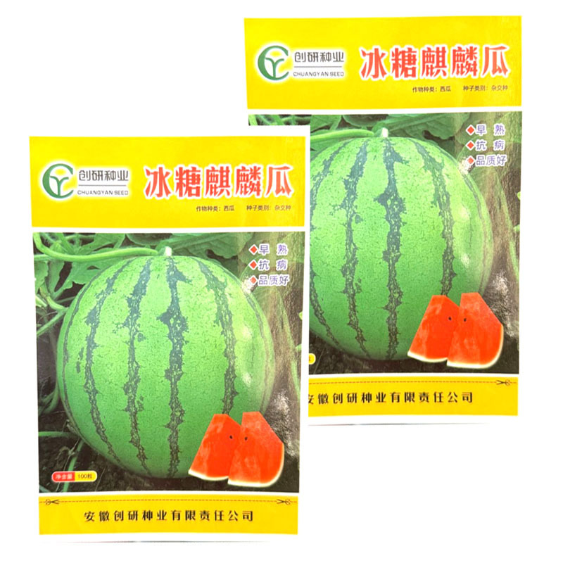 冰糖麒麟西瓜种子早熟抗病圆果型红瓤黑籽质脆味甜基地种植