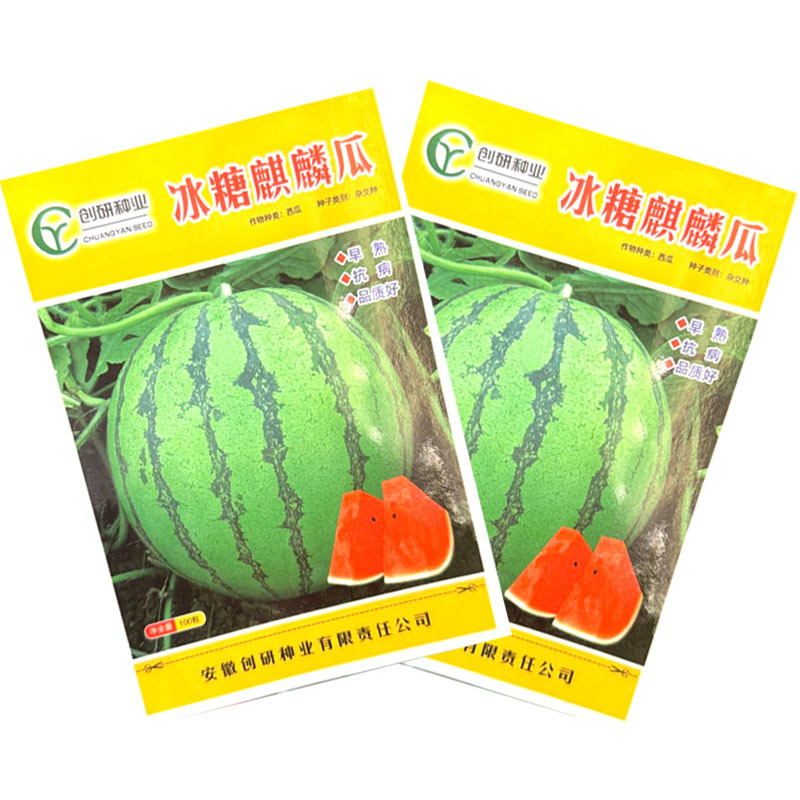 冰糖麒麟西瓜种子早熟抗病圆果型红瓤黑籽质脆味甜基地种植