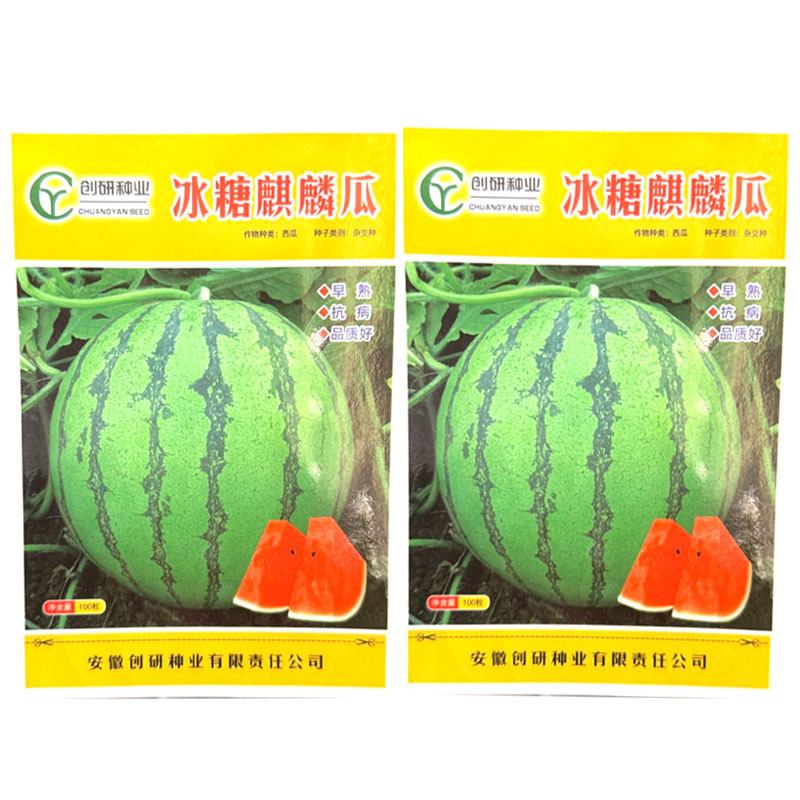 冰糖麒麟西瓜种子早熟抗病圆果型红瓤黑籽质脆味甜基地种植