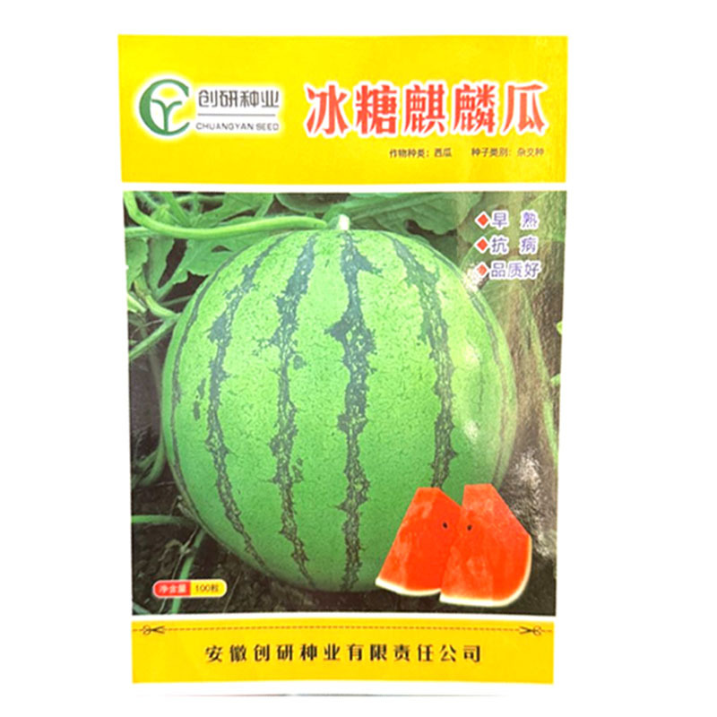 冰糖麒麟西瓜种子早熟抗病圆果型红瓤黑籽质脆味甜基地种植