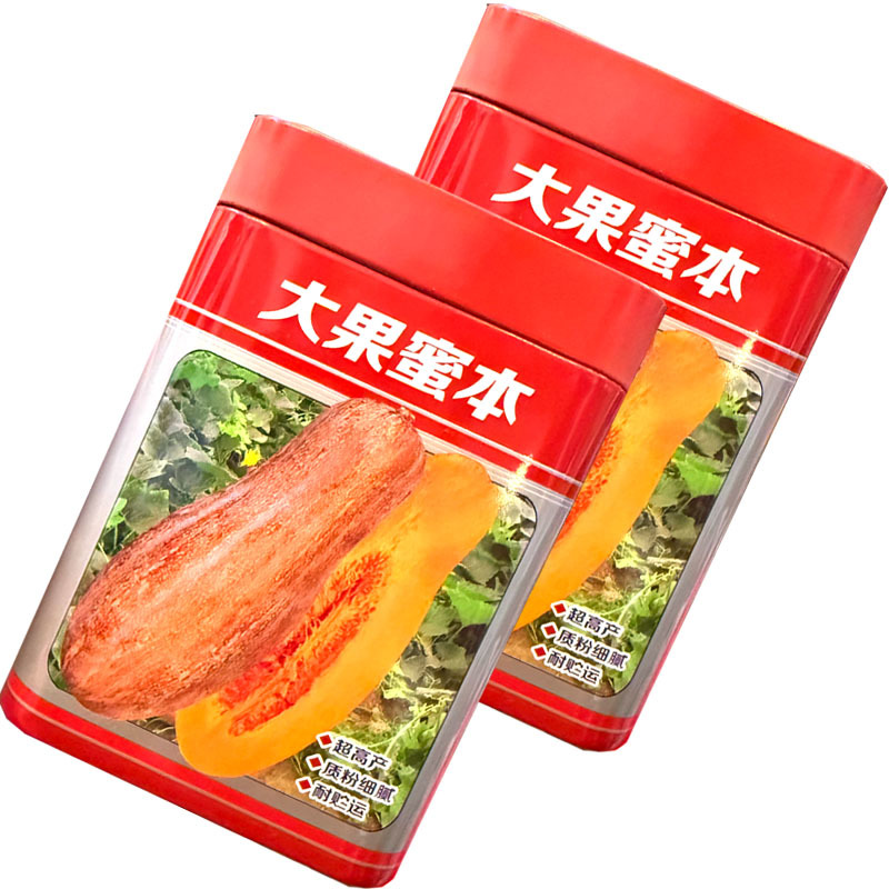 大果蜜本南瓜种子易坐果质粉细腻糖分高腊粉重耐贮运