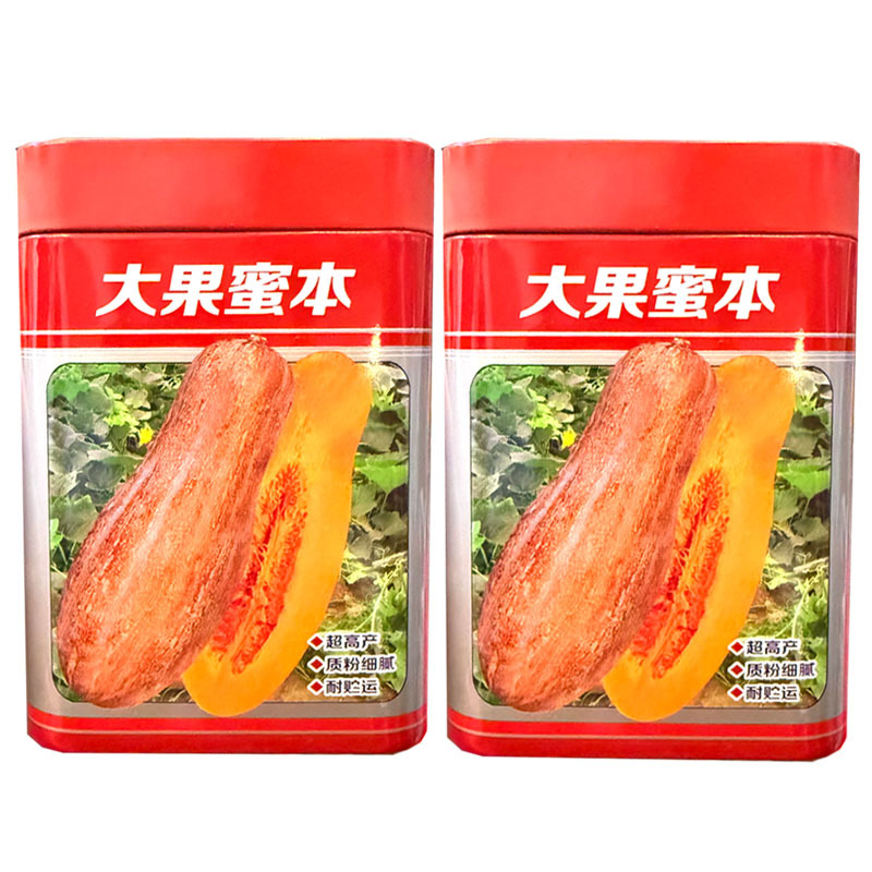 大果蜜本南瓜种子易坐果质粉细腻糖分高腊粉重耐贮运