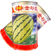 金砂王硒砂西瓜种子杂交浅皮大红瓤西瓜种籽抗病硒砂瓜种子