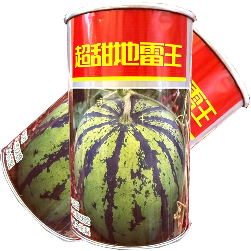 超甜地雷王西瓜种子早熟杂交耐重茬果肉大红汁多口感酥甜