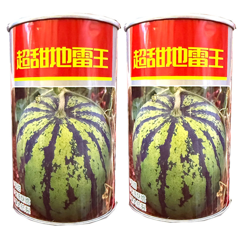 超甜地雷王西瓜种子早熟杂交耐重茬果肉大红汁多口感酥甜