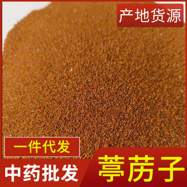 葶苈子新货葶苈子干净无杂质道地药材质优价廉