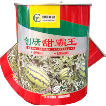 创研甜霸王西瓜种子抗病耐重茬瓤色大红耐裂果甜王西瓜种子