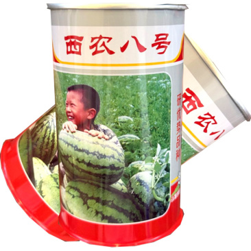 西农八号西瓜种子杂交中晚熟西瓜种籽耐旱耐湿抗病耐贮运