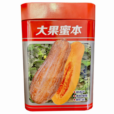 大果蜜本南瓜种子质粉细腻易坐果糖分高高产基地专用