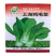 鸡毛菜种子四季均可种植高产基地发芽高小油菜种子