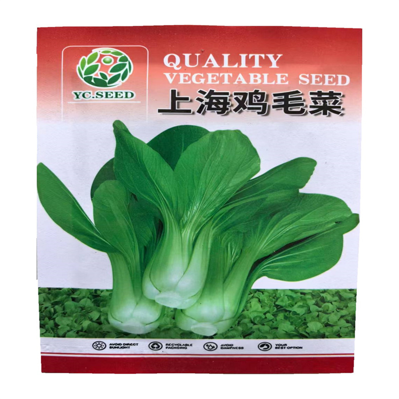鸡毛菜种子四季均可种植高产基地发芽高小油菜种子