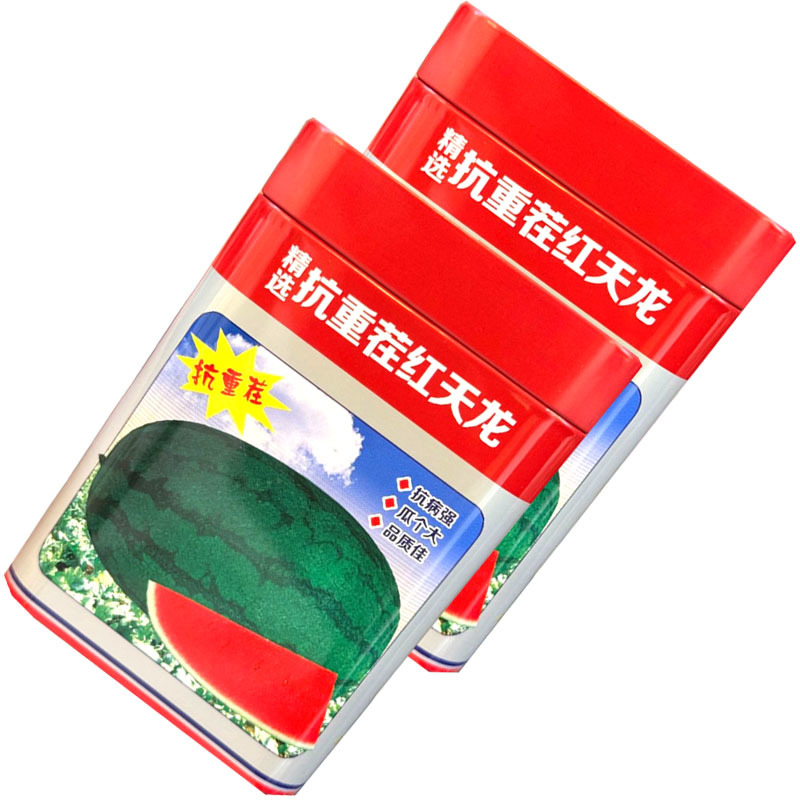 抗重茬红天龙西瓜种子抗病抗重茬瓜大果肉大红基地种植