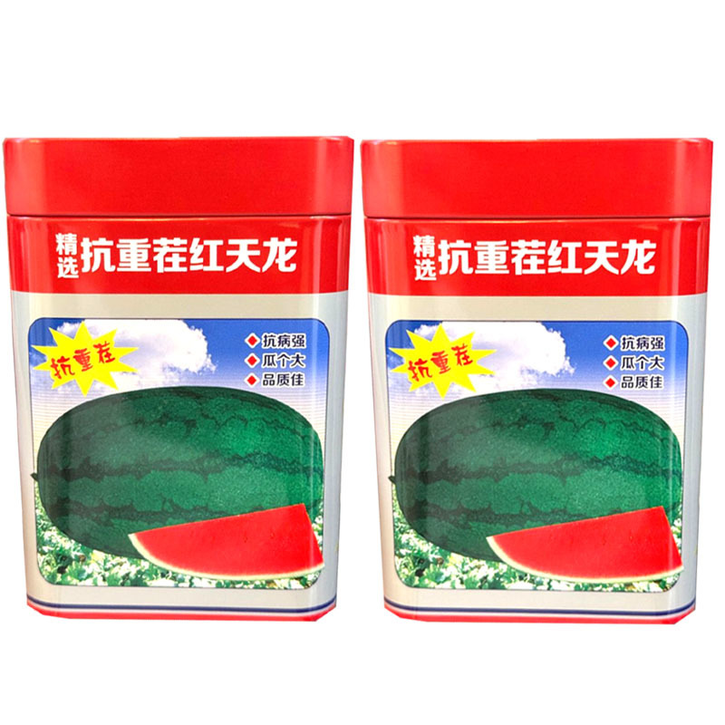 抗重茬红天龙西瓜种子抗病抗重茬瓜大果肉大红基地种植