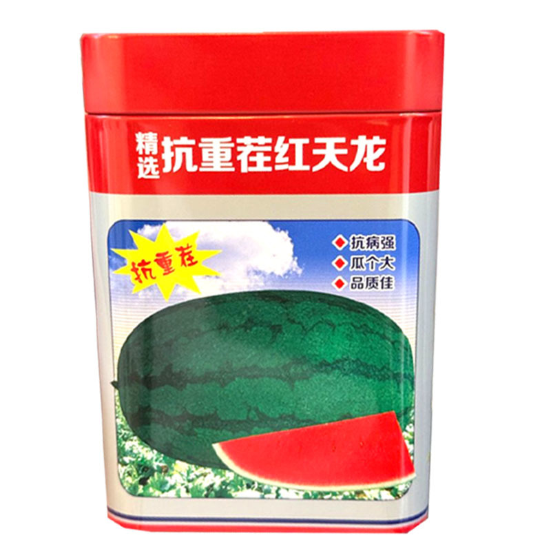 抗重茬红天龙西瓜种子抗病抗重茬瓜大果肉大红基地种植