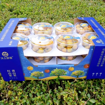 悦颗黄山楂果形玲珑，，酸甜可口精心挑选欢迎品鉴