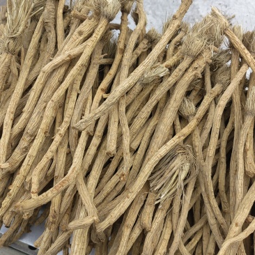 【防风】随行就市支持视频看货，承接各类中药材订单
