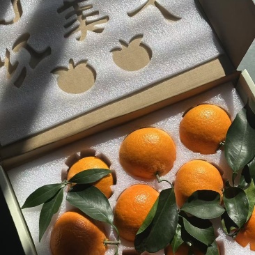 象山红美人礼盒装精品果