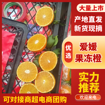 爱媛果冻橙四川爱媛橙产地直发品质保障皮薄多汁