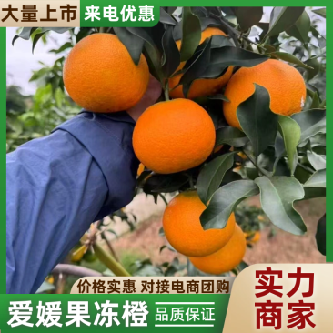 【推荐】爱媛果冻橙爱媛橙产地一手货源现摘现发