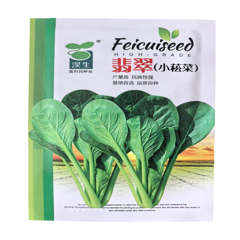 小菘菜种子翡翠基地产量高抗病杂交新小松菜种子