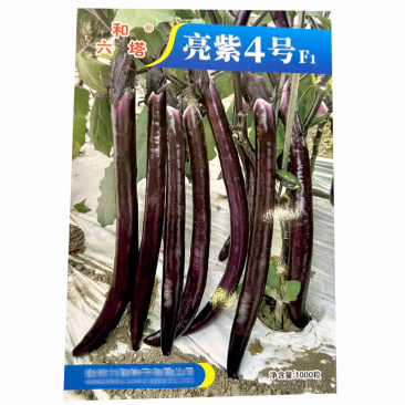 线茄种子亮紫4号茄子种耐热果色紫红皮薄抗病基地品种