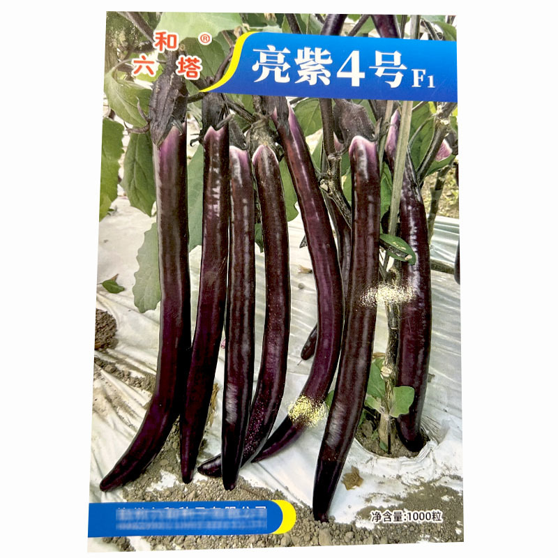 线茄种子亮紫4号茄子种耐热果色紫红皮薄抗病基地品种