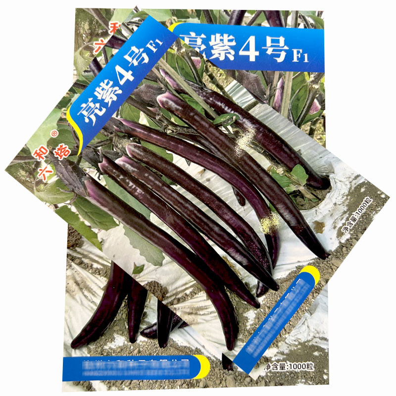 线茄种子亮紫4号茄子种耐热果色紫红皮薄抗病基地品种