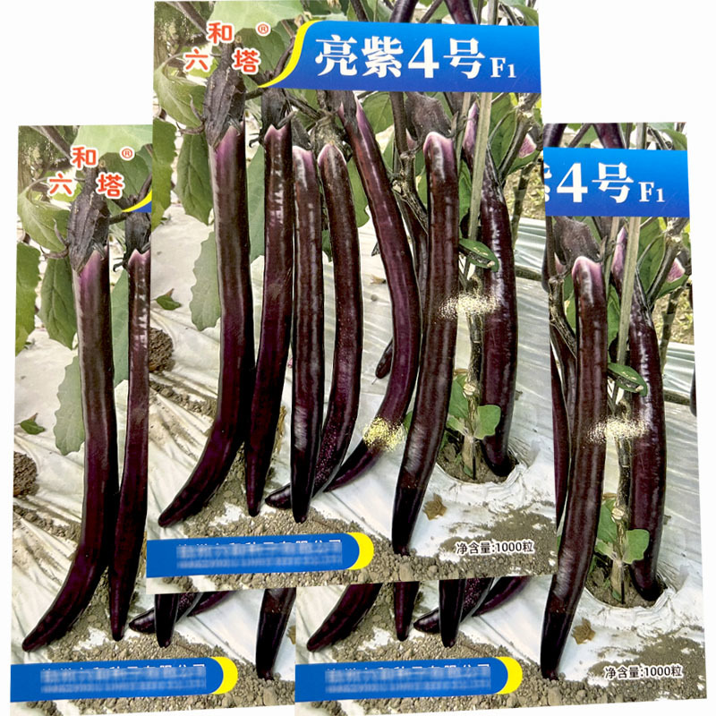 线茄种子亮紫4号茄子种耐热果色紫红皮薄抗病基地品种