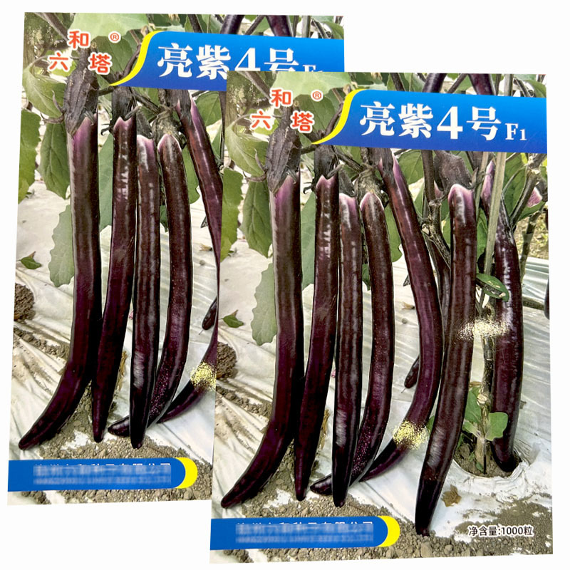 线茄种子亮紫4号茄子种耐热果色紫红皮薄抗病基地品种