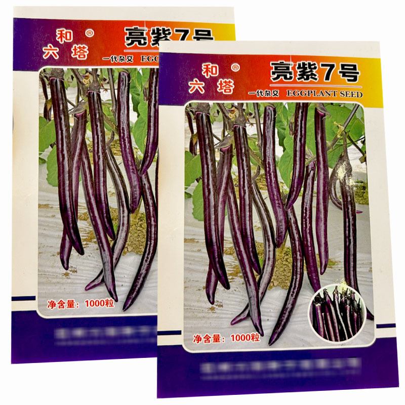 亮紫7号亮紫线茄种子早熟果皮薄紫红抗病基地品种