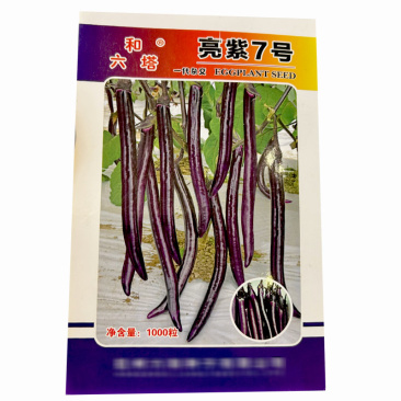 亮紫7号亮紫线茄种子早熟果皮薄紫红抗病基地品种