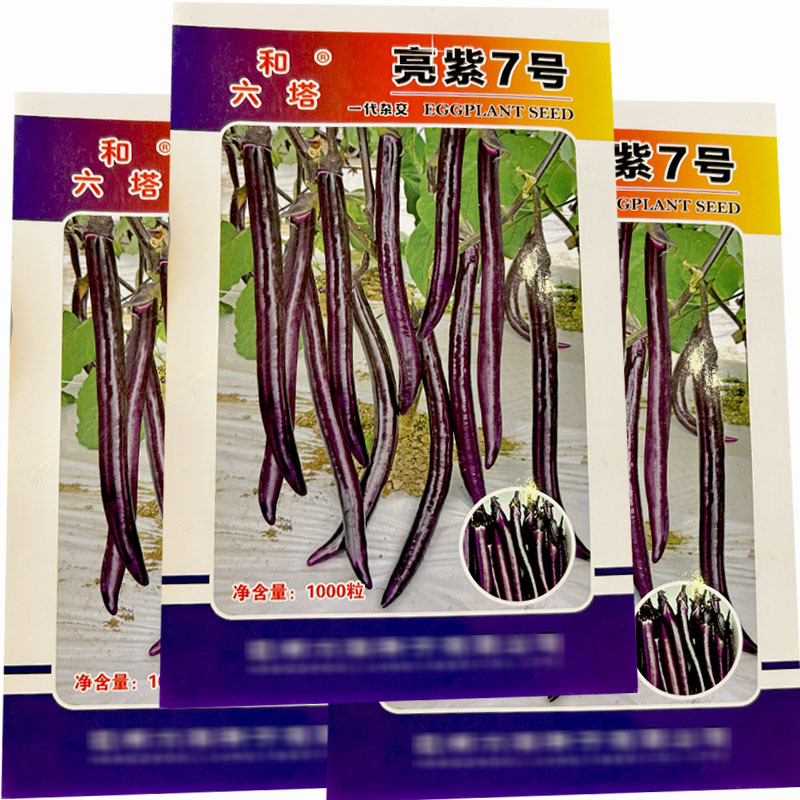 亮紫7号亮紫线茄种子早熟果皮薄紫红抗病基地品种