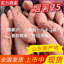 《烟薯25》山东烟薯/商品薯/烤红薯/加工薯/可全国发货