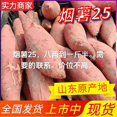 《烟薯25》山东烟薯/商品薯/烤红薯/加工薯/可全国发货