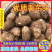 毛芋头8520/产地大量现货供应/规格齐全/可全国发货