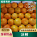 沃柑云南沃柑产地一手货源/规格齐全/皮薄多汁/货发全国