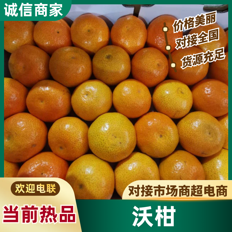 沃柑云南沃柑产地一手货源/规格齐全/皮薄多汁/货发全国