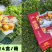 沃土部落黄山楂皮薄肉厚，口感香甜货源稳定欢迎来电咨询