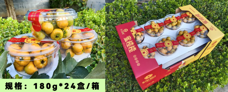 沃土部落黄山楂皮薄肉厚，口感香甜货源稳定欢迎来电咨询