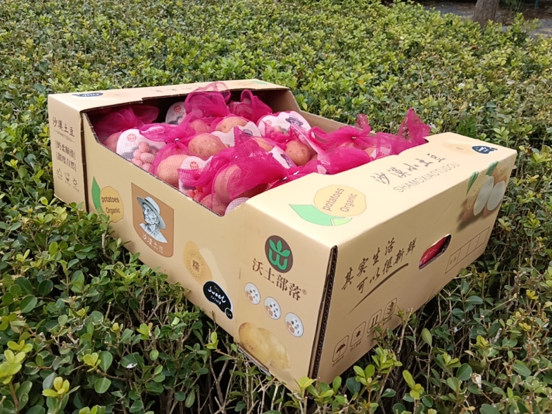 沃土部落-沙漠小土豆货源充足诚信合作品质保证欢迎来电