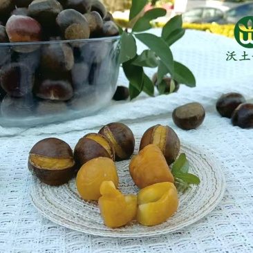 沃土部落--高山板栗粒粒精选，量大质优。欢迎各位老板联系