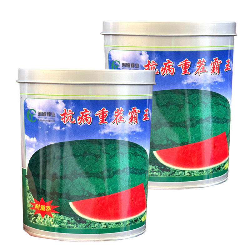 抗病重茬霸王西瓜种子果实椭圆果肉大红黑花皮西瓜种子