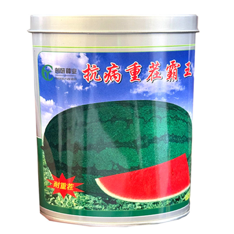 抗病重茬霸王西瓜种子果实椭圆果肉大红黑花皮西瓜种子